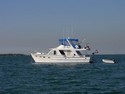 DeFever 48